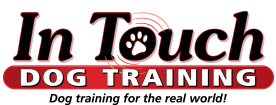 In Touch Dog Training. Dog Training for the real world.