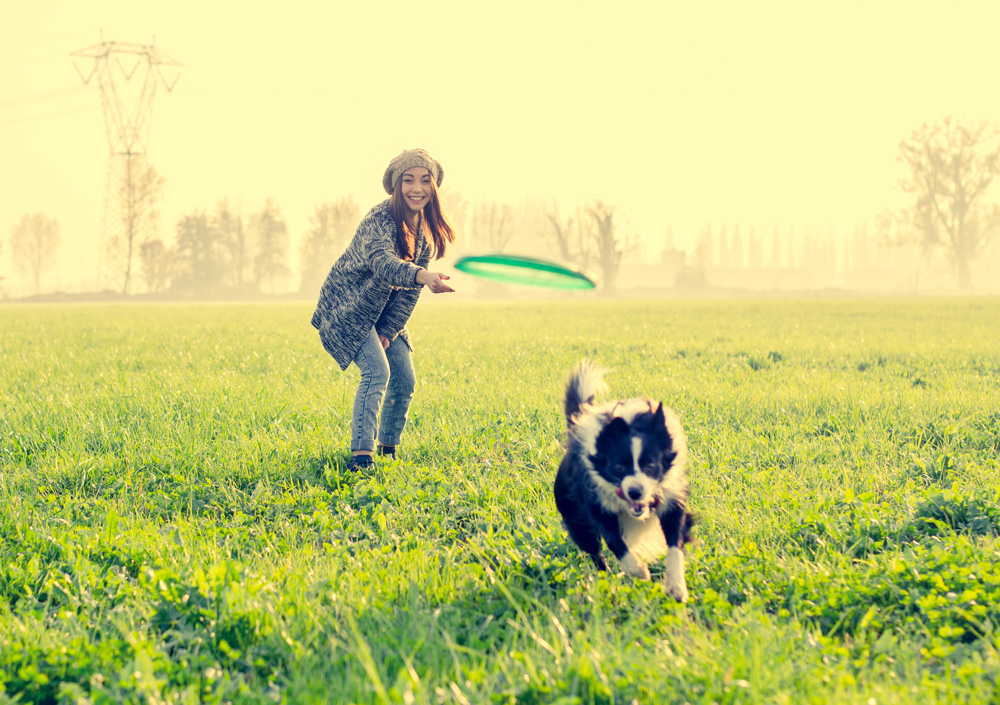 Private Dog Training Lessons in Green Bay Appleton Wisconsin